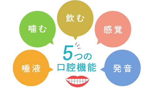 5つの口腔機能（唾液・噛む・飲む・感覚・発音）